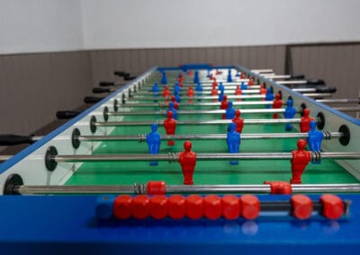 Kampeerboerderij op de Veluwe voetbaltafel