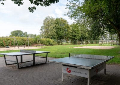 Kampeerboerderij op de Veluwe tafeltennis